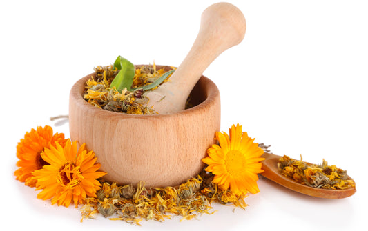 Seven AMAZING facts about Calendula Flowers: