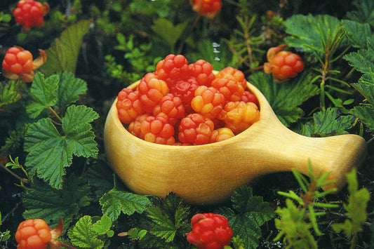 What in the World Is a Cloudberry?
