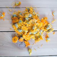 Sacred Earth Rejuvenating Balm