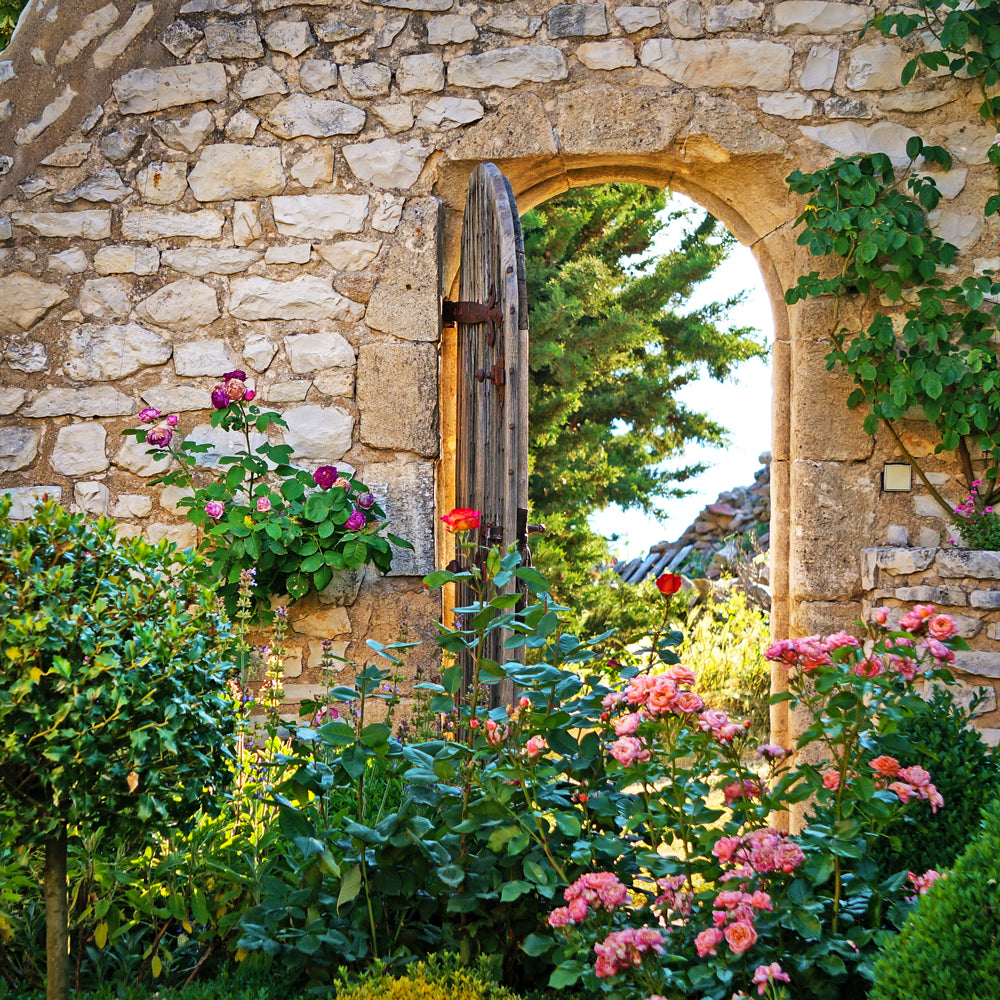 Secret Garden Solid Lotion Body Bar