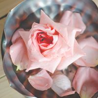 Pink Petal Perfume Oil