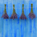 Lavender Room & Pillow Spray