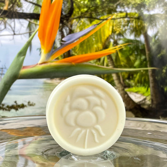 Bird of Paradise Solid Lotion Body Bar